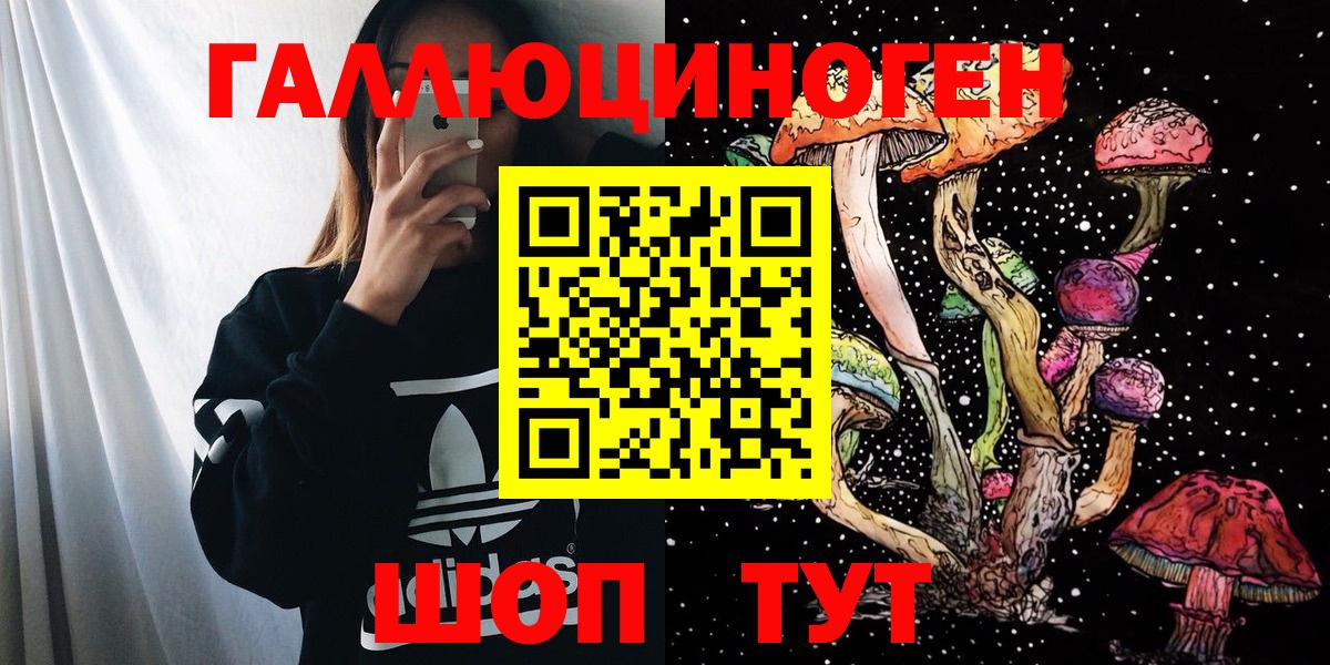 Псилоцибиновые грибы Psilocybe Муравленко